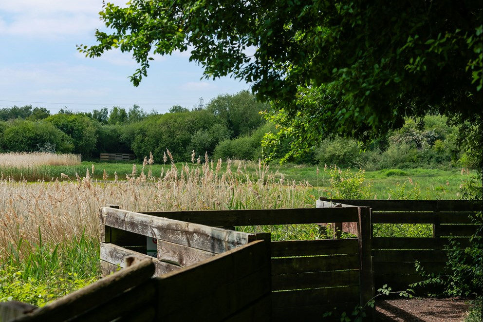 A view of a field at Sandwell Country Park.